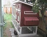Small Chicken Coops