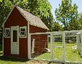 Large Chicken Coop Designs & Pictures of Chicken Coops