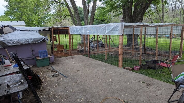 Fowl Penitentiary, the process of a coop on a budget