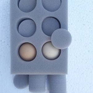 Foam Inserts For Chicken Eggs