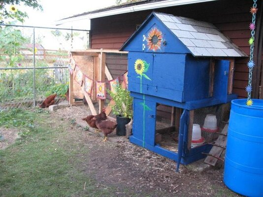1st Coop: Dog House Coop