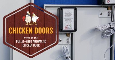 chickendoors2.jpg