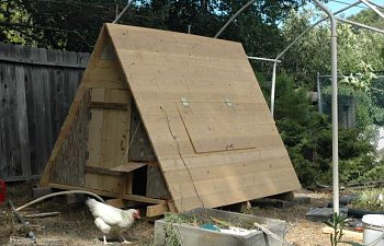 Jacob Torbas A Frame Chicken Coop
