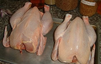 How To Raise & Process Chickens for Meat - Tips & Pictures