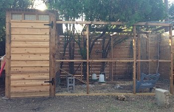 We finally (almost) finished our coop!