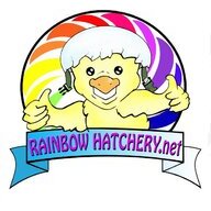 rainbowhatchery