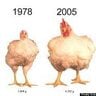 Poultrynomics