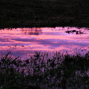 sunset reflection by @katelwil.png